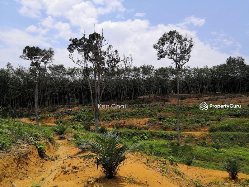 Tanah Pertanian untuk Dijual di Kota Tinggi (Johor) - Ken Chai - PropertyGuru.com.my