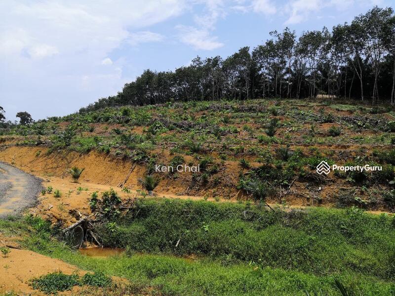 Tanah Pertanian untuk Dijual di Kota Tinggi (Johor) - Ken Chai - PropertyGuru.com.my