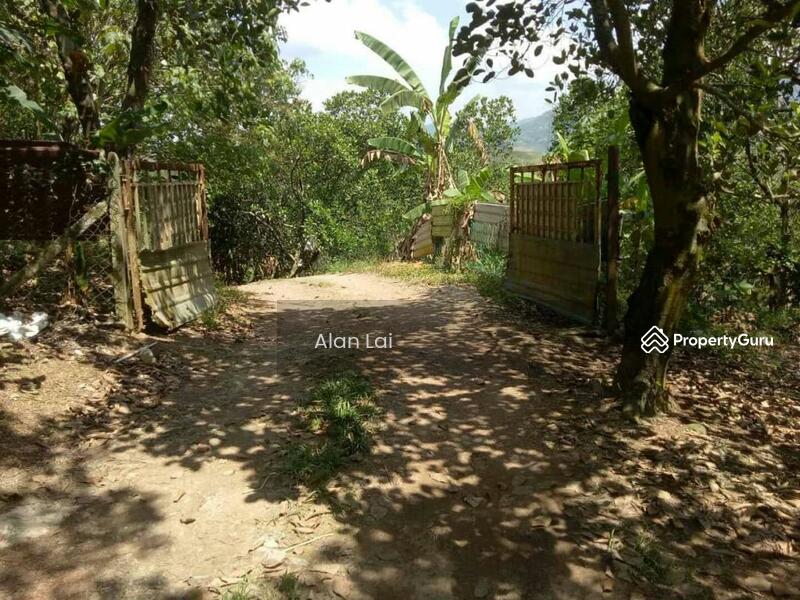 mantin, Kampung Baru Pajam, Mantin, Negeri Sembilan, , , Agricultural