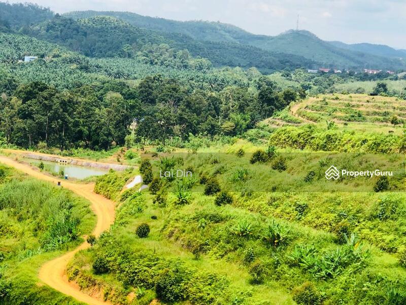 Agricultural Land for Sale in Bentong (Pahang) - Lai Din - PropertyGuru.com.my