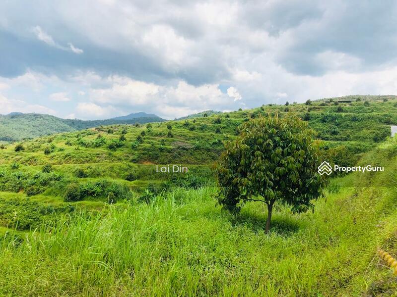 Agricultural Land for Sale in Bentong (Pahang) - Lai Din - PropertyGuru.com.my