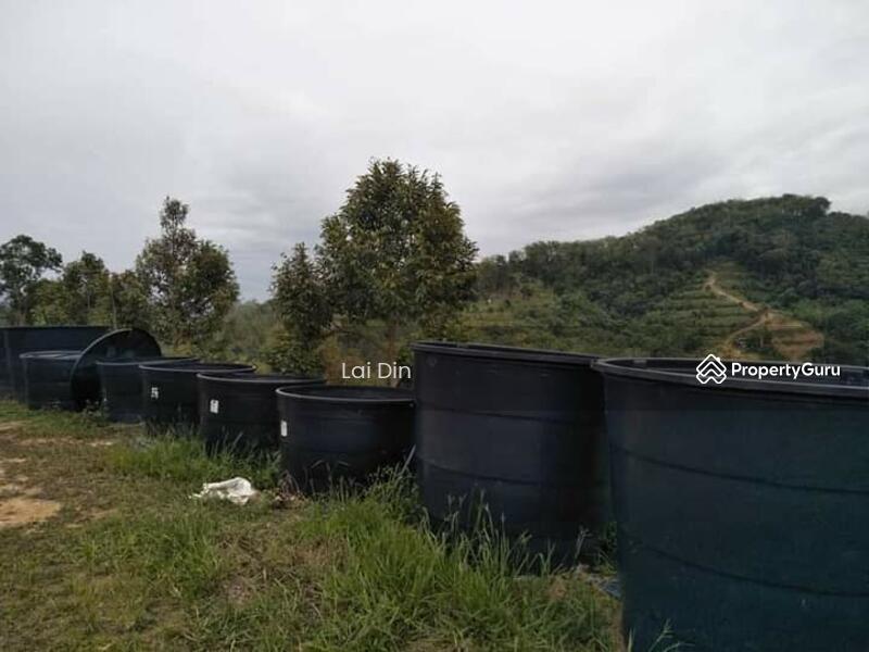 Agricultural Land for Sale in Bentong (Pahang) - Lai Din - PropertyGuru.com.my