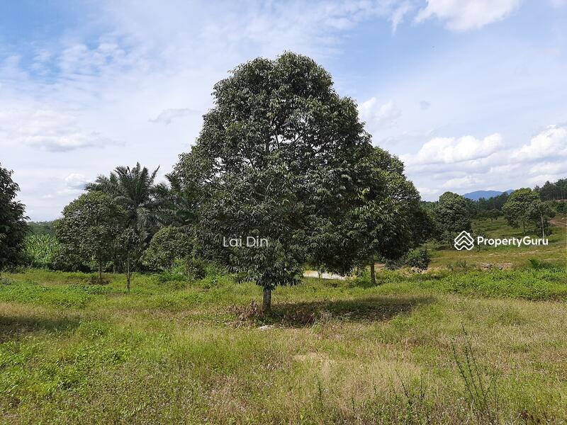Agricultural Land for Sale in Bentong (Pahang) - Lai Din - PropertyGuru.com.my