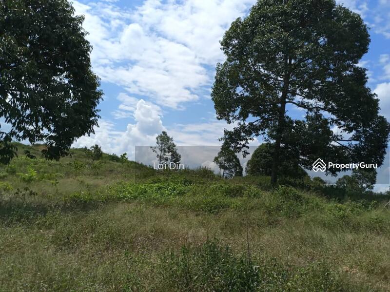 Agricultural Land for Sale in Bentong (Pahang) - Lai Din - PropertyGuru.com.my