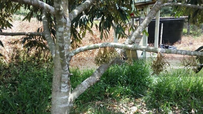 Agricultural Land for Sale in Bentong (Pahang) - Lai Din - PropertyGuru.com.my