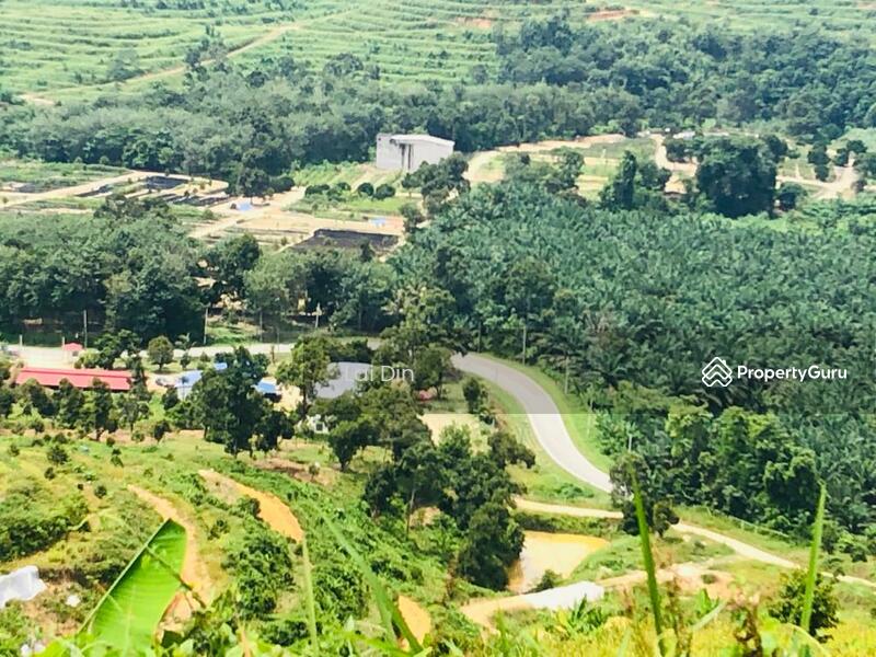 Agricultural Land for Sale in Bentong (Pahang) - Lai Din - PropertyGuru.com.my