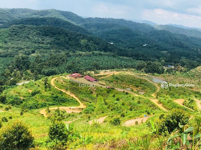 Agricultural Land for Sale in Bentong (Pahang) - Lai Din - PropertyGuru.com.my