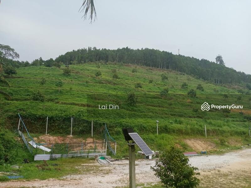 Agricultural Land for Sale in Bentong (Pahang) - Lai Din - PropertyGuru.com.my