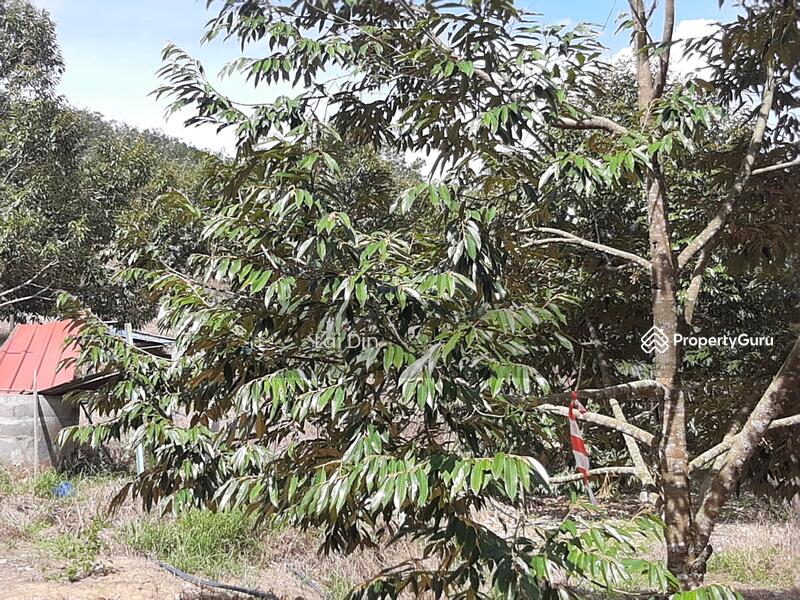 Agricultural Land for Sale in Bentong (Pahang) - Lai Din - PropertyGuru.com.my