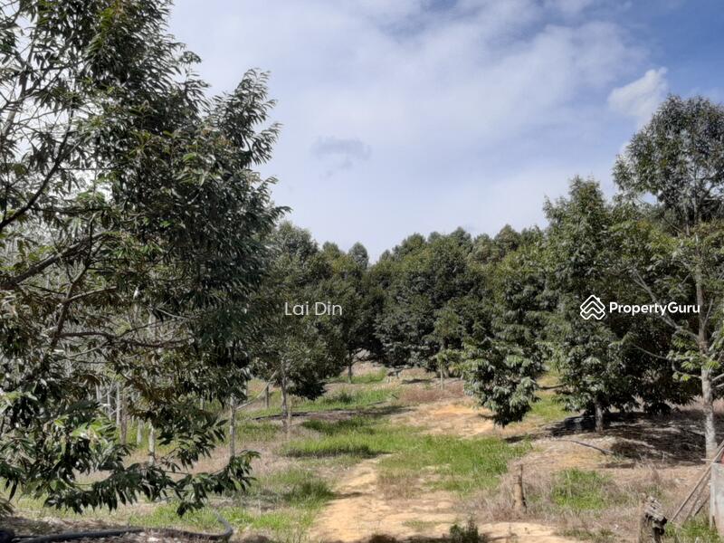 Agricultural Land for Sale in Bentong (Pahang) - Lai Din - PropertyGuru.com.my