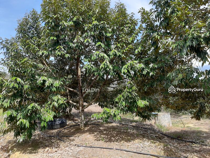 Agricultural Land for Sale in Bentong (Pahang) - Lai Din - PropertyGuru.com.my