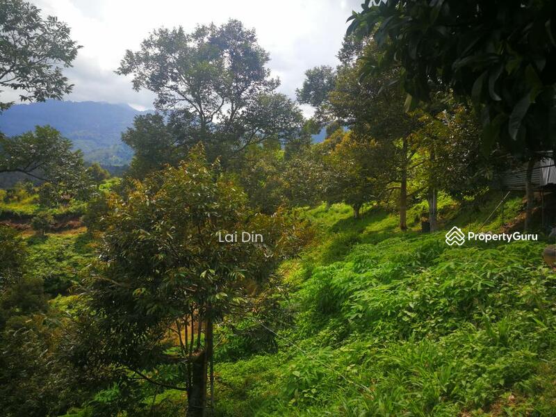 Agricultural Land for Sale in Bentong (Pahang) - Lai Din - PropertyGuru.com.my