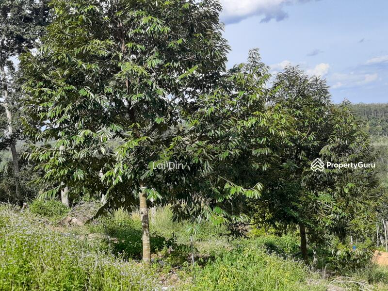 Agricultural Land for Sale in Bentong (Pahang) - Lai Din - PropertyGuru.com.my
