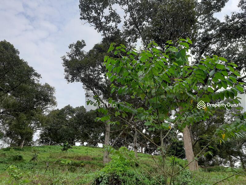 Agricultural Land for Sale in Bentong (Pahang) - Lai Din - PropertyGuru.com.my