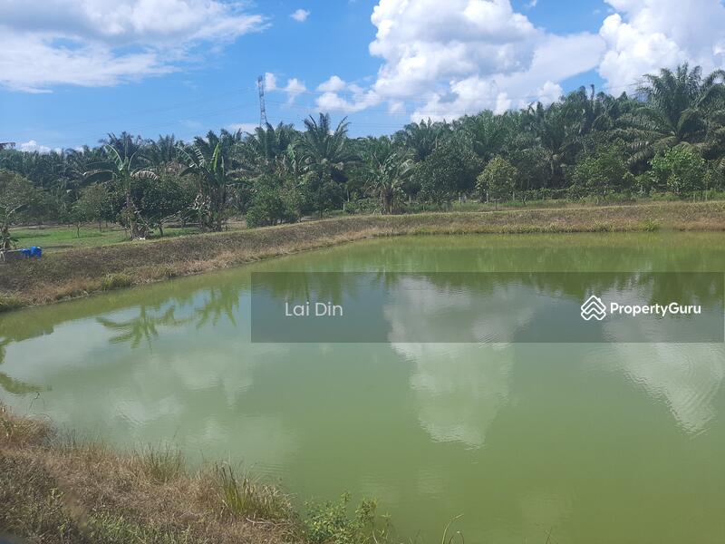 Agricultural Land for Sale in Bentong (Pahang) - Lai Din - PropertyGuru.com.my