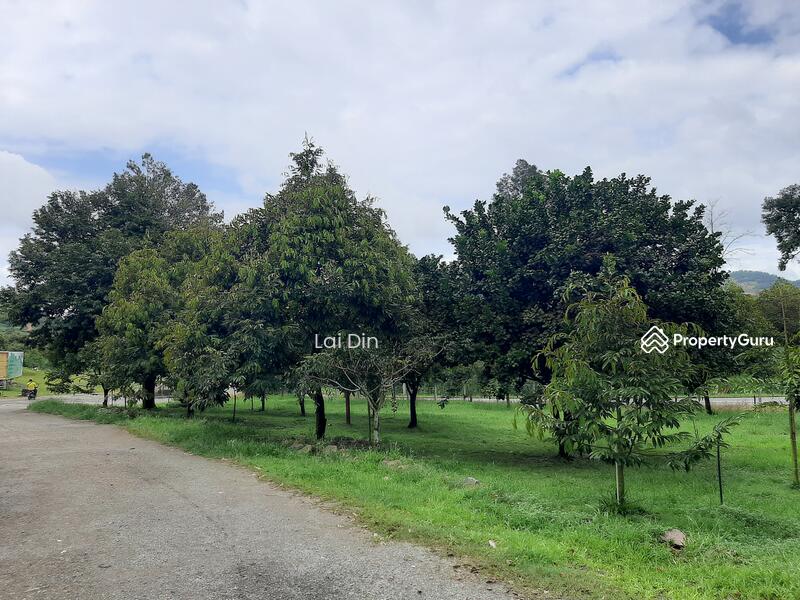 Agricultural Land for Sale in Bentong (Pahang) - Lai Din - PropertyGuru.com.my