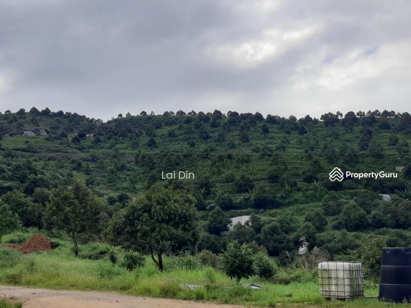 Agricultural Land for Sale in Bentong (Pahang) - Lai Din - PropertyGuru.com.my