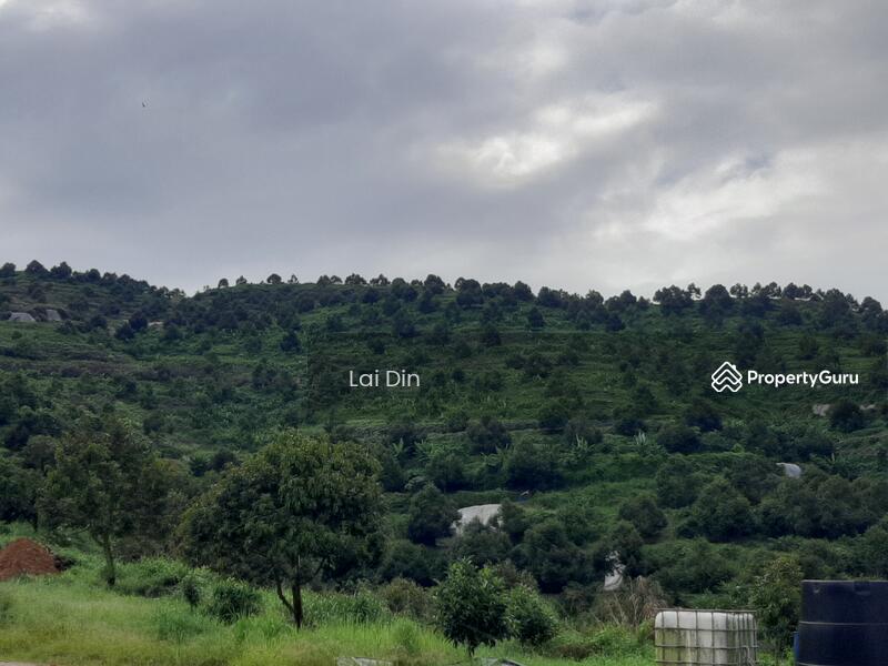 Agricultural Land for Sale in Bentong (Pahang) - Lai Din - PropertyGuru.com.my
