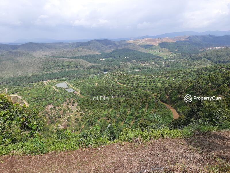 Agricultural Land for Sale in Bentong (Pahang) - Lai Din - PropertyGuru.com.my