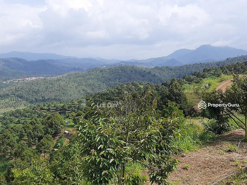 Agricultural Land for Sale in Bentong (Pahang) - Lai Din - PropertyGuru.com.my