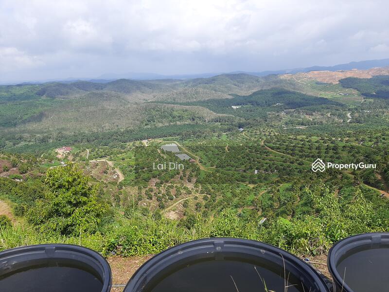 Agricultural Land for Sale in Bentong (Pahang) - Lai Din - PropertyGuru.com.my