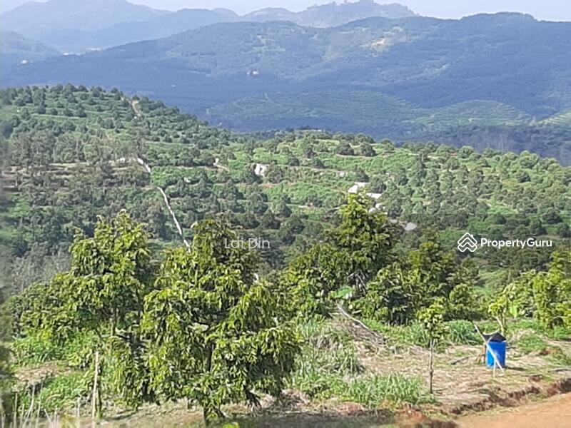 Agricultural Land for Sale in Bentong (Pahang) - Lai Din - PropertyGuru.com.my