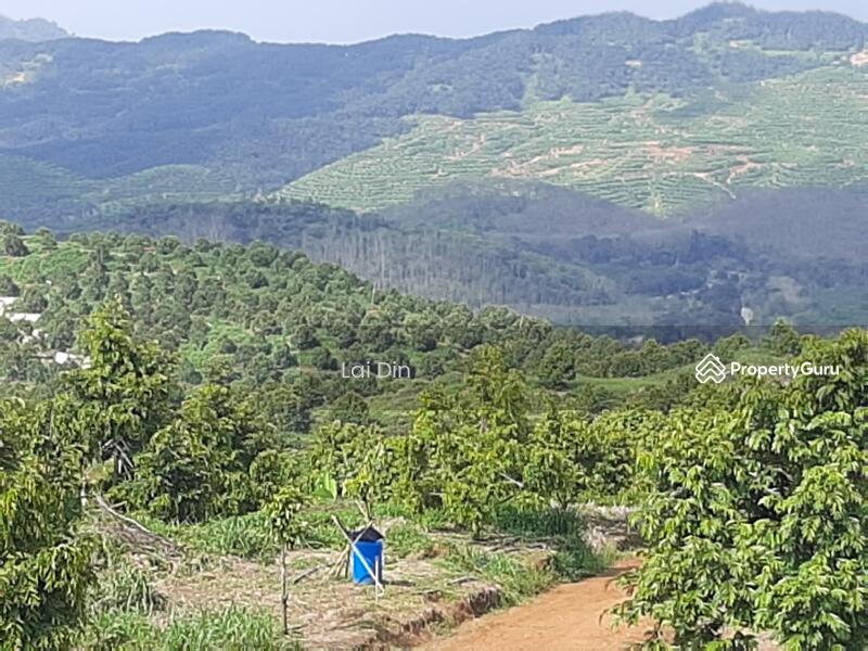 Agricultural Land for Sale in Bentong (Pahang) - Lai Din - PropertyGuru.com.my