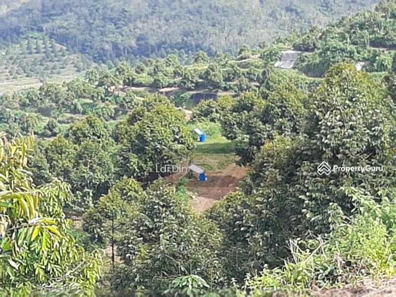 Agricultural Land for Sale in Bentong (Pahang) - Lai Din - PropertyGuru.com.my