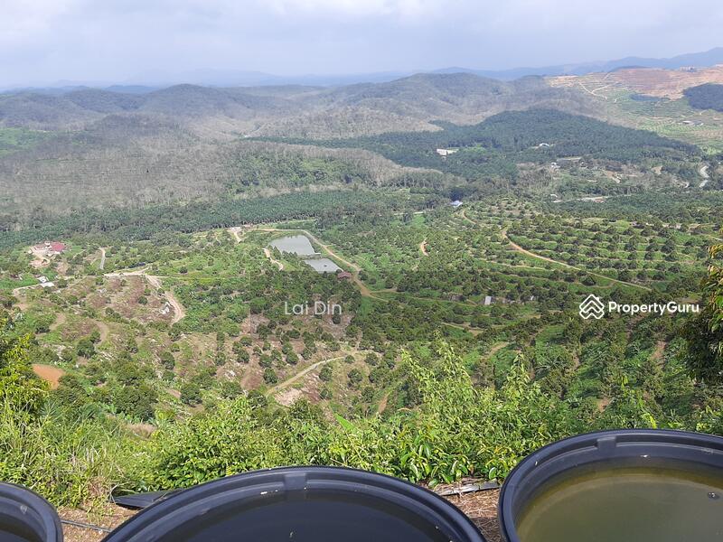 Agricultural Land for Sale in Bentong (Pahang) - Lai Din - PropertyGuru.com.my