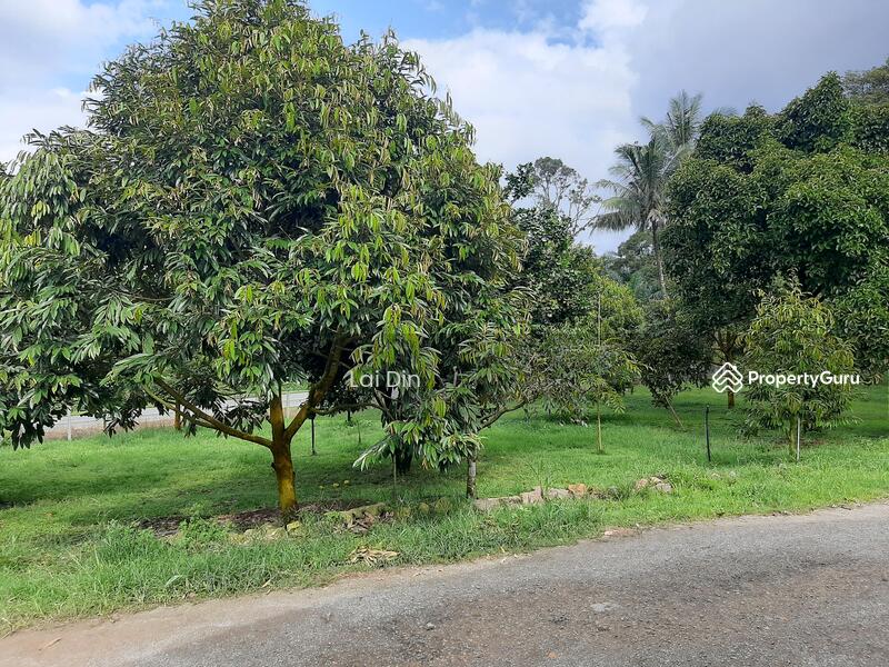 Agricultural Land for Sale in Bentong (Pahang) - Lai Din - PropertyGuru.com.my