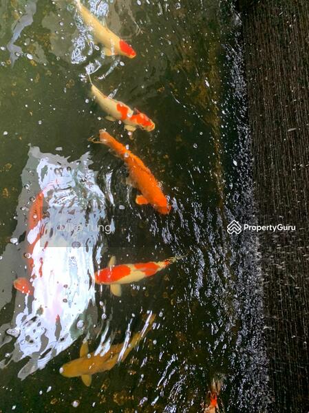 Bungalow for Sale in Mont Kiara (Kuala Lumpur) - Mike Tung - PropertyGuru.com.my