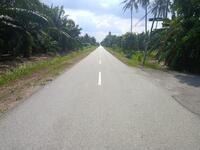 For Sale - Assam Jawa Kuala Selangor
