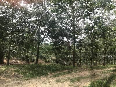 Tanah 10 Ekar Negeri Sembilan Trovit