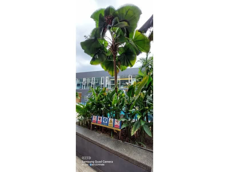 Servis Apartment untuk Disewa di 38 Bidara Condominium - BE OOI - PropertyGuru.com.my