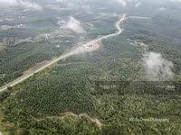 For Sale - Sri Jaya Maran Pahang Agricultural Land Sale, 391 Acres, Facing Main Road..