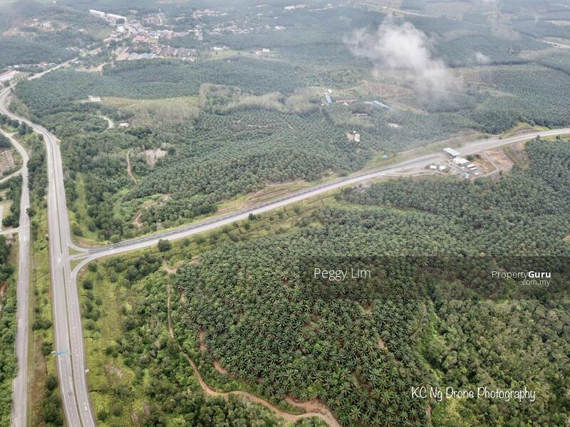 Agricultural Land for Sale in Maran (Pahang) - Peggy Lim - PropertyGuru.com.my