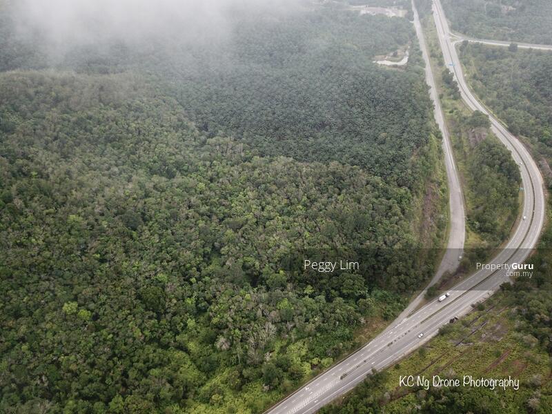 Agricultural Land for Sale in Maran (Pahang) - Peggy Lim - PropertyGuru.com.my