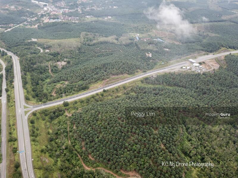 Agricultural Land for Sale in Maran (Pahang) - Peggy Lim - PropertyGuru.com.my