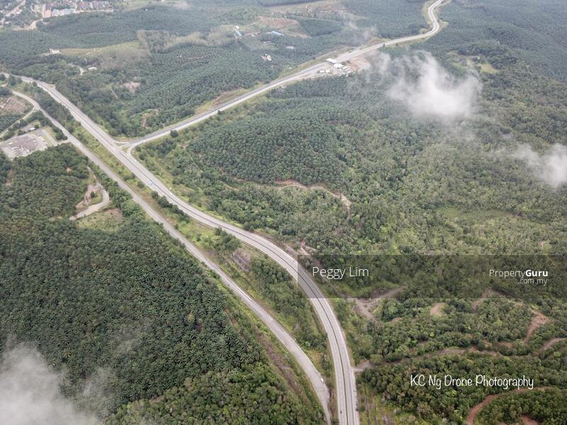 Agricultural Land for Sale in Maran (Pahang) - Peggy Lim - PropertyGuru.com.my