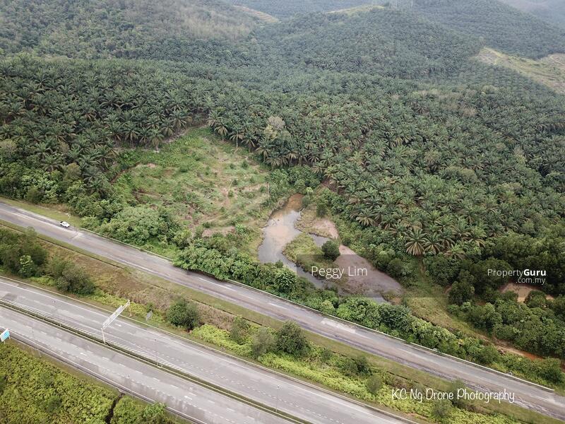 Agricultural Land for Sale in Maran (Pahang) - Peggy Lim - PropertyGuru.com.my