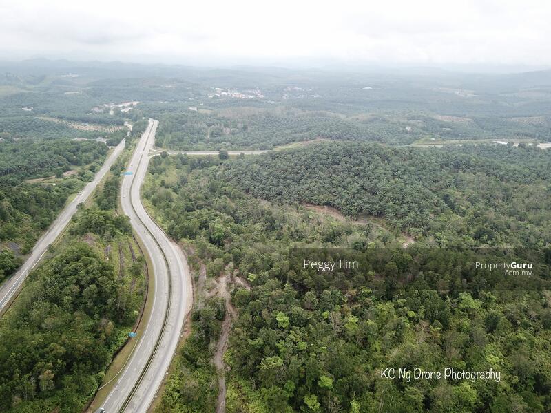Agricultural Land for Sale in Maran (Pahang) - Peggy Lim - PropertyGuru.com.my