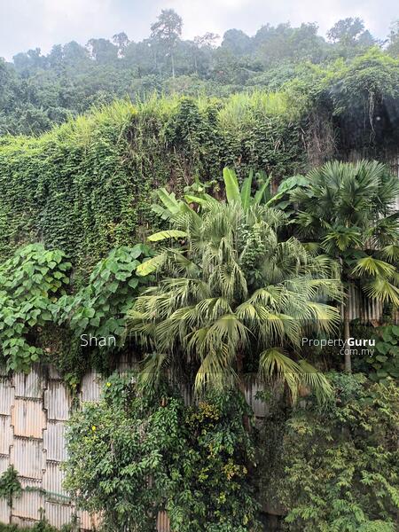 For Rent - Empire Residence