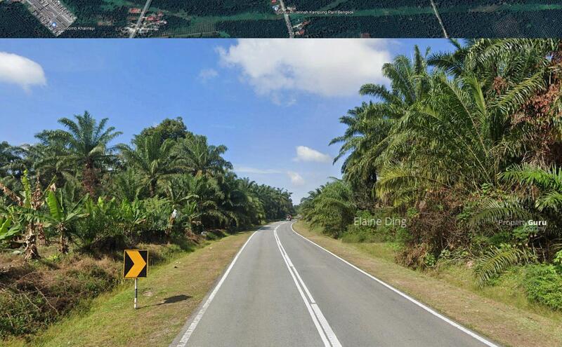 Agricultural Land for Sale in Pontian (Johor) - Elaine Ding - PropertyGuru.com.my