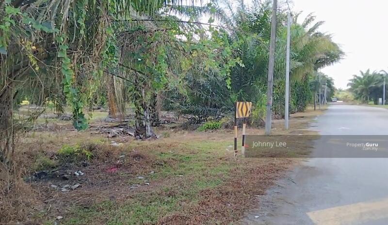 For Sale - Jenjarom