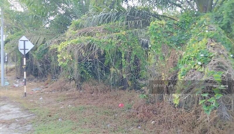 For Sale - Jenjarom