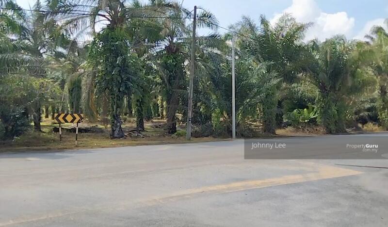For Sale - Jenjarom