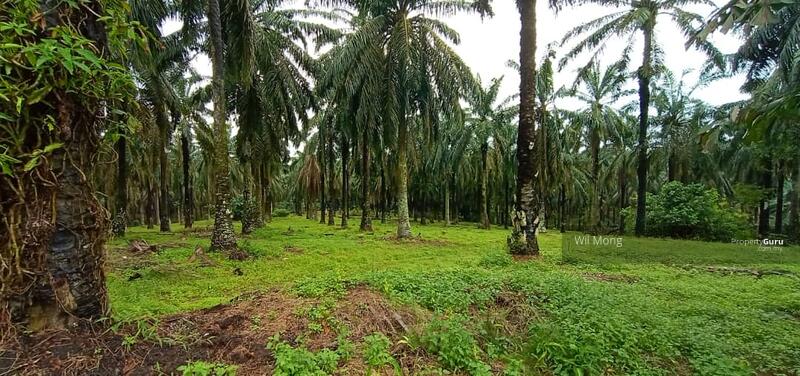 Untuk Dijual - JALAN SEELONG JAYA 12 SENAI