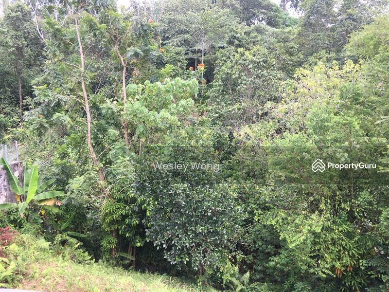 Residential Land for Sale in Ipoh (Perak) - Wesley Wong - PropertyGuru.com.my