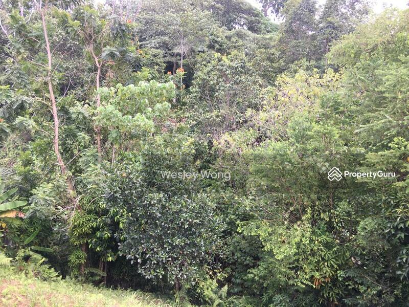 Residential Land for Sale in Ipoh (Perak) - Wesley Wong - PropertyGuru.com.my