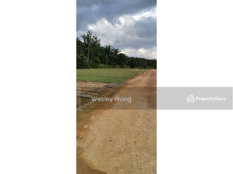 Residential Land for Sale in Ipoh (Perak) - Wesley Wong - PropertyGuru.com.my